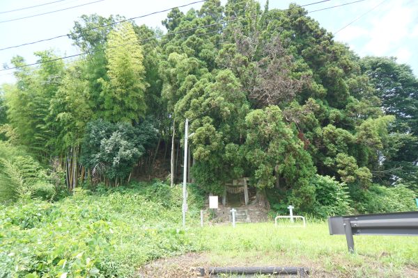 こんもりした山に鳥居があるのが分かりますか？