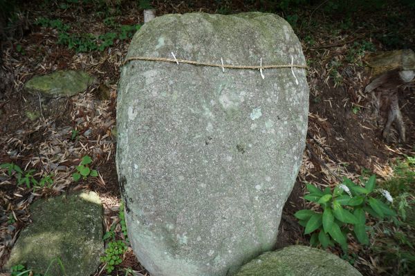 結構縦に長い、大きな石だ。