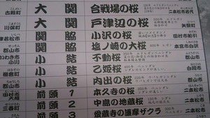 戸井田氏は、「番付表で福島県の桜を巡って、素晴らしさを知って欲しい」と話す。