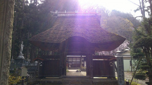 日光が差し込む観音寺山門。右手奥に桜が見える。