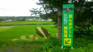 南湖公園入口の田んぼ。看板の矢印の所に立ってみよう！