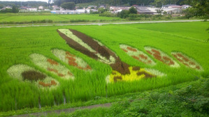 田んぼにダルライザーとダイス現る！