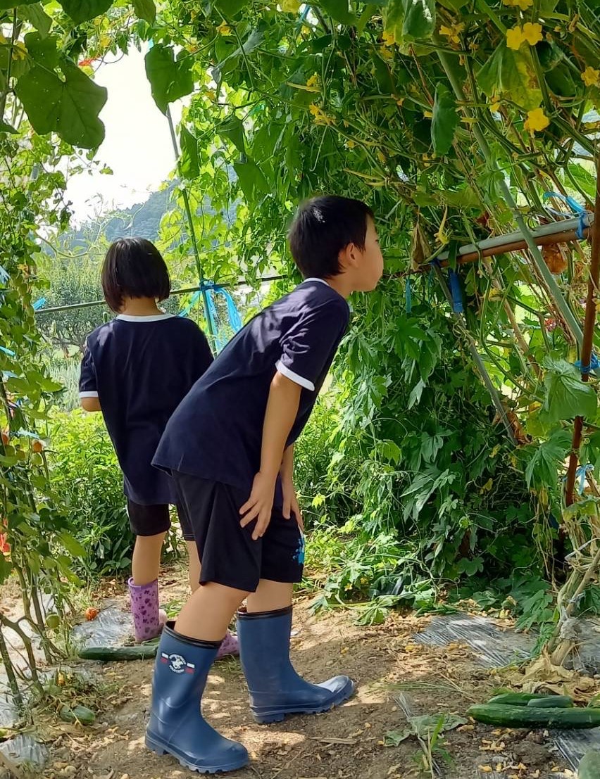 子どものyoutube視聴は遊びのアイデアが広がる 日本一有名な保育士のアドバイスに平野ノラさんも おったまげ 連載記事 にこたむfes オンラインレポート 前編 Chu Press 福島中央テレビ