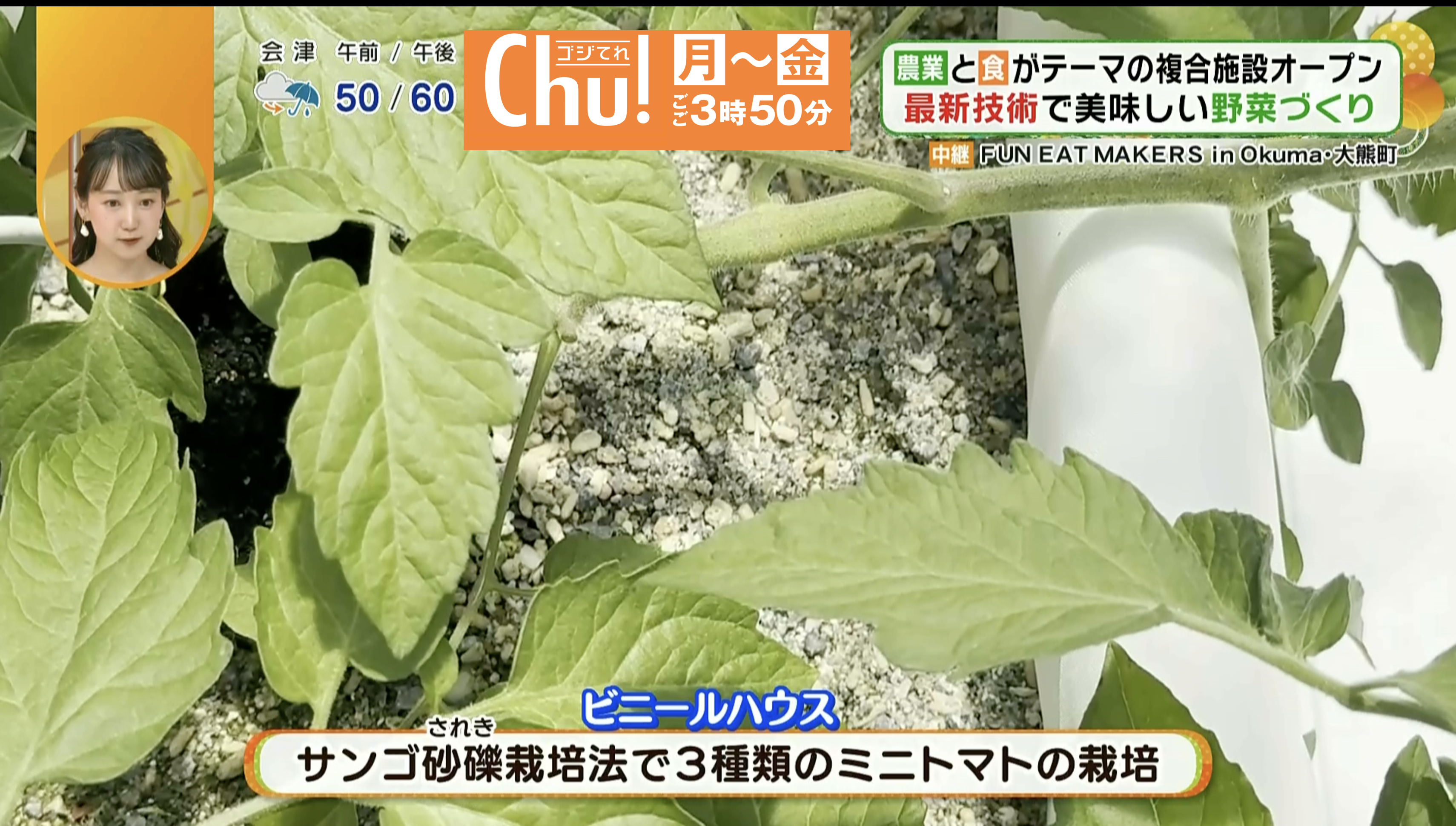 ミニトマトも食べてみたい！