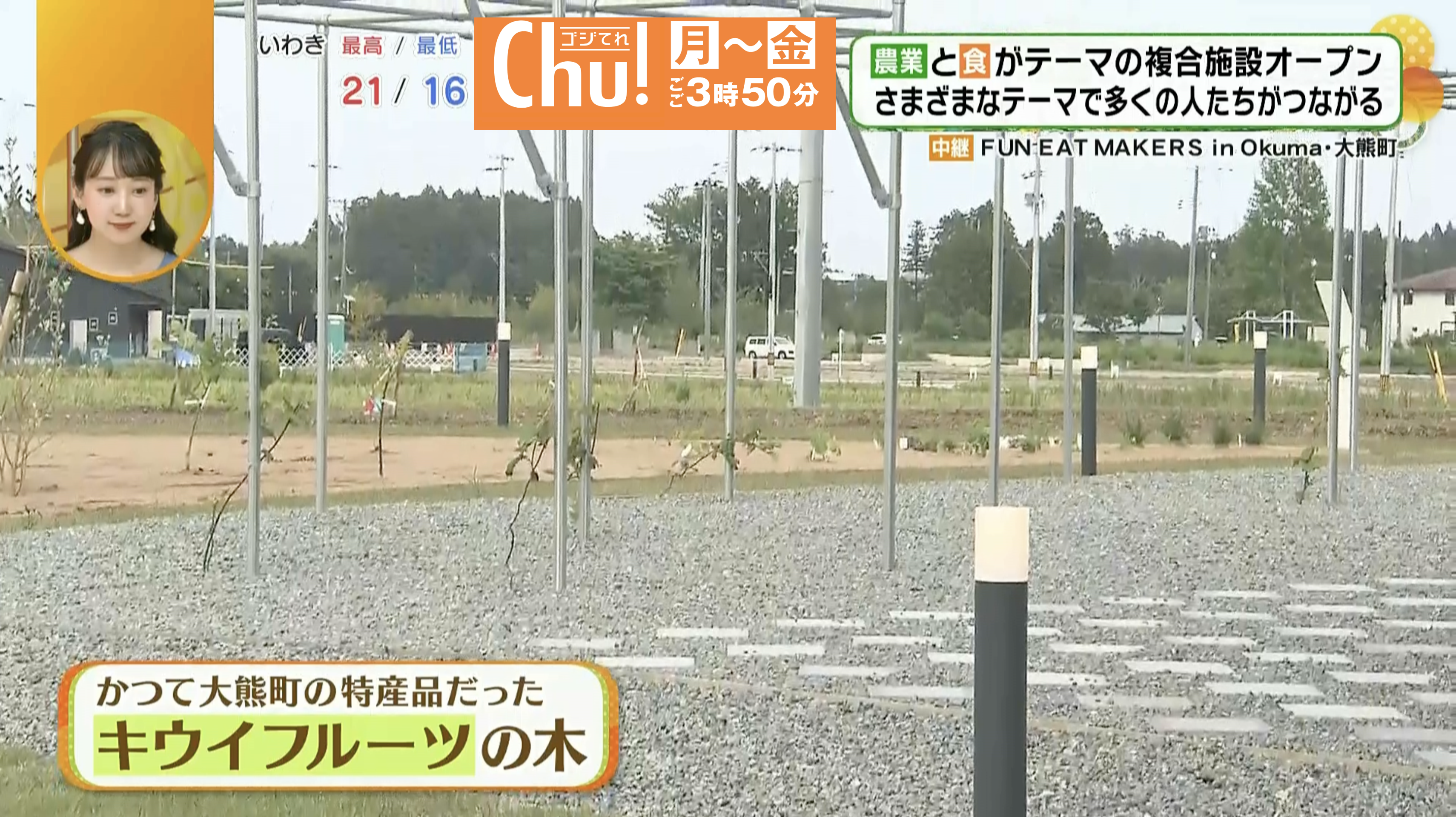 木に実が成る日が楽しみだ