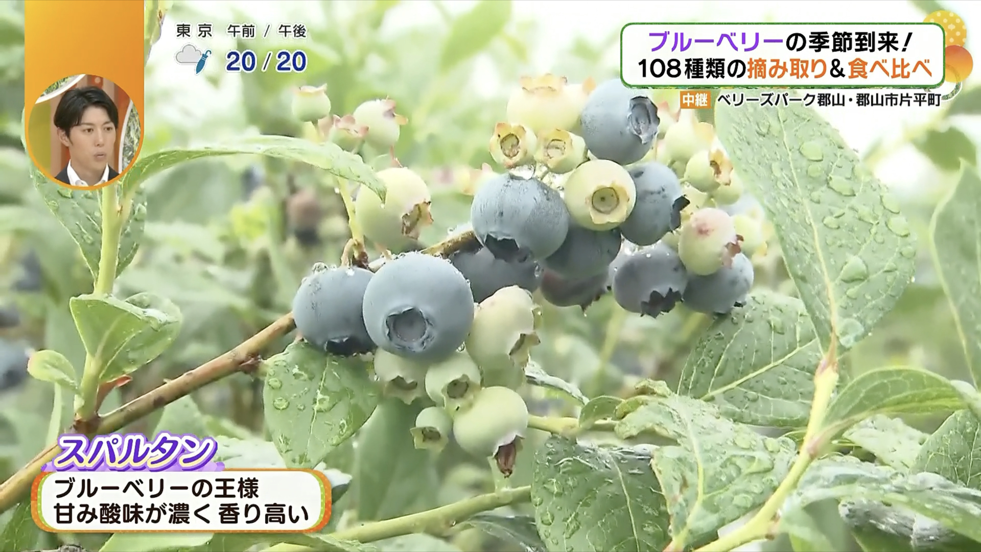 「さすが王様！」と感じられる味わい