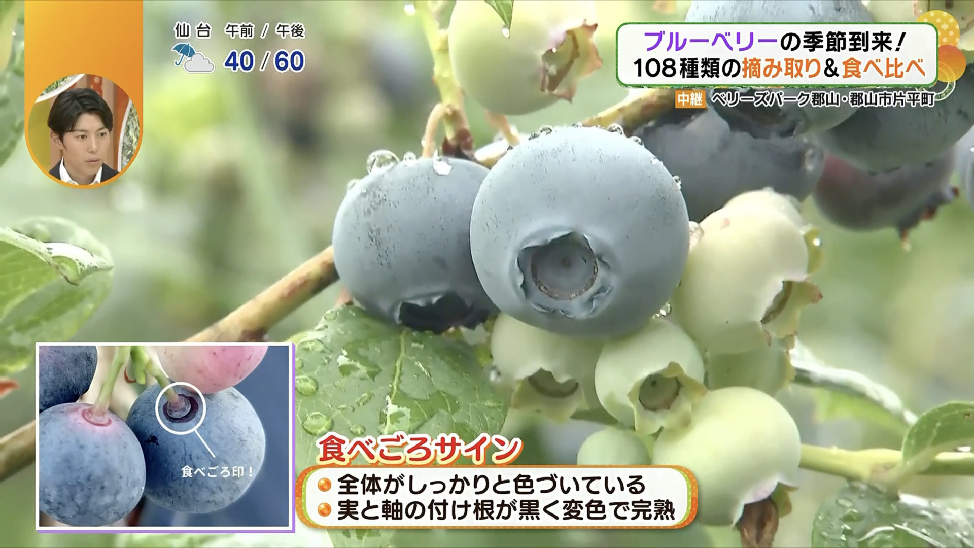 大きい実から順に熟していく