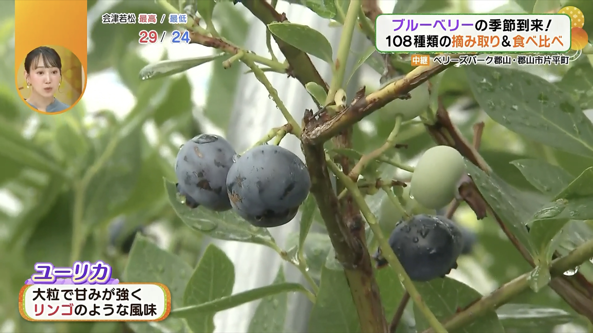 口にすると…驚きの味わいが広がる！