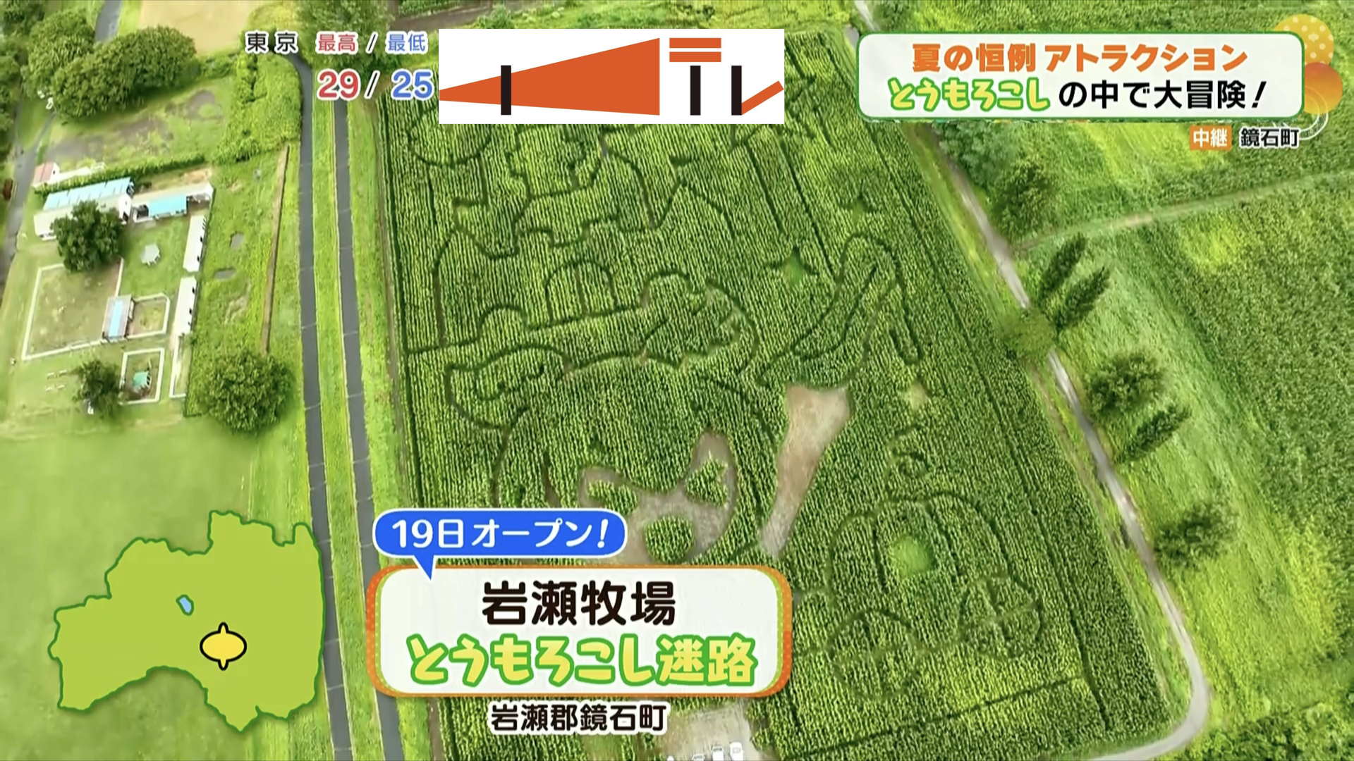 夏の恒例アトラクションがリニューアルしてパワーアップ!とうもろこし迷路で夏の思い出作りはいかが?