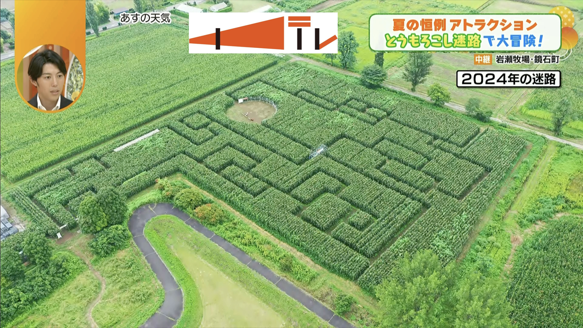 曲線のある迷路は、日本でもめずらしいという