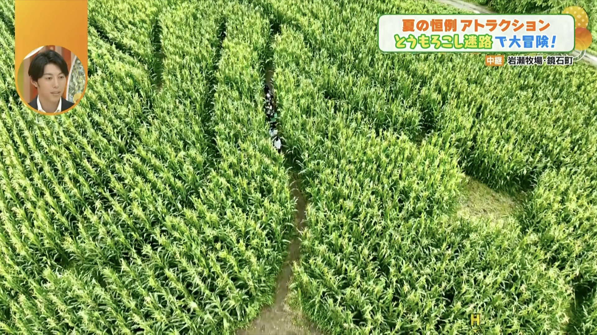 迷路の中にいる中継クルー、見えますか？