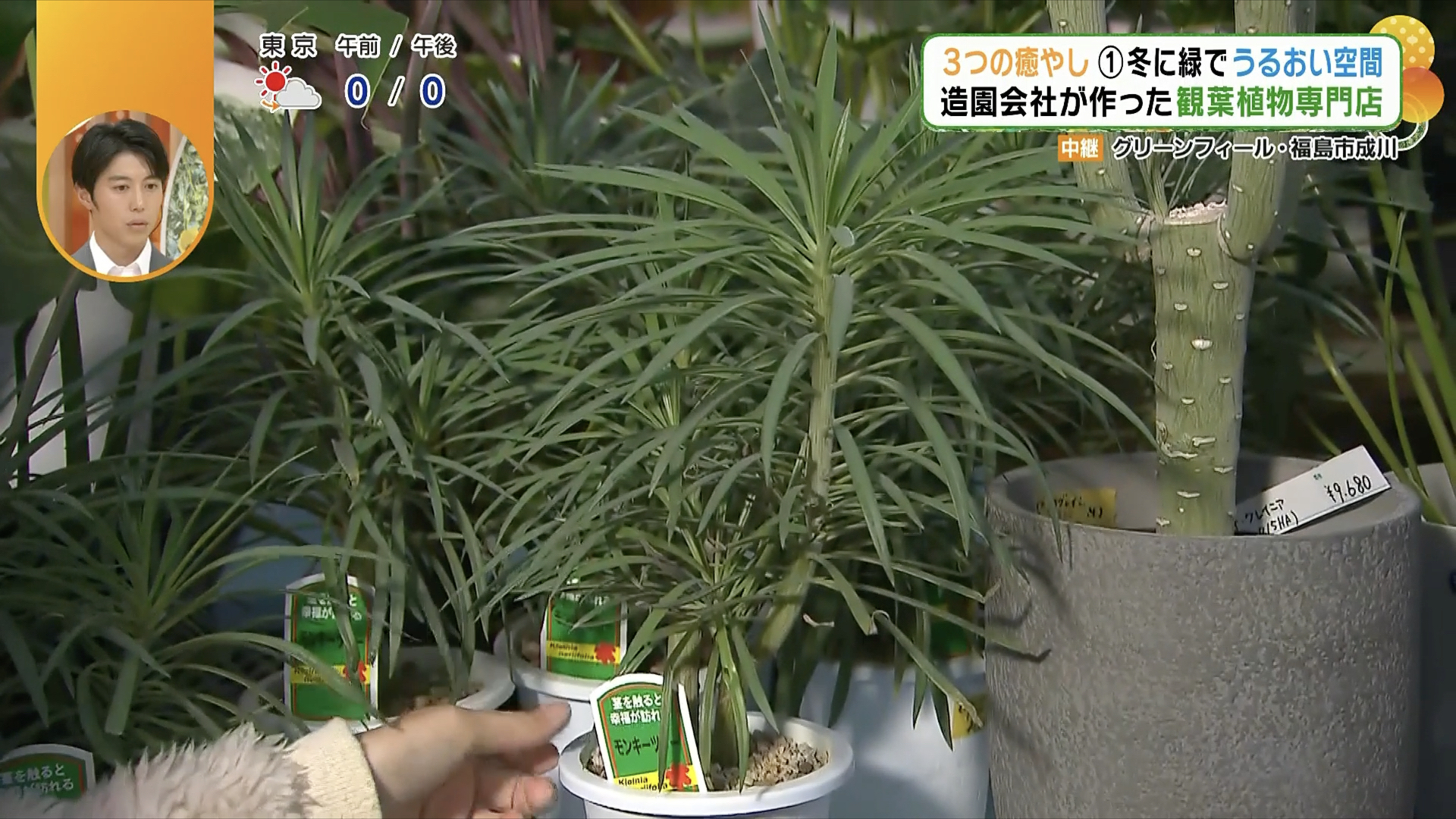 3つの癒やしの空間を一度に楽しめる場所!? 造園会社が手がける観葉植物