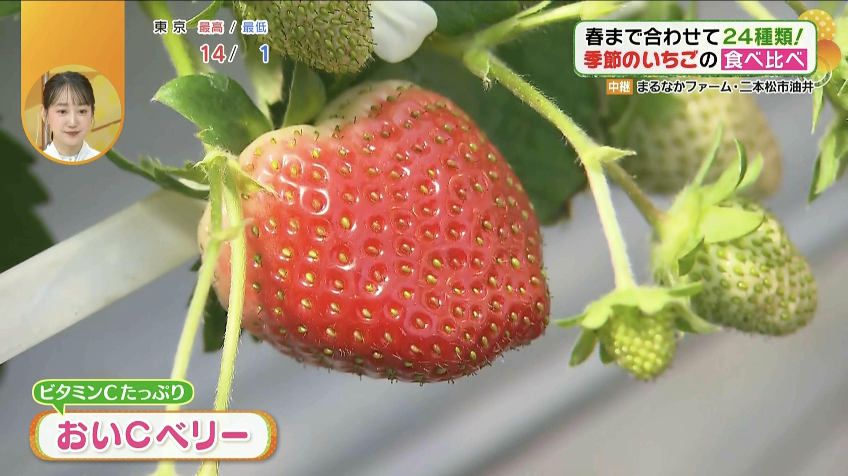 ツヤツヤで大粒のいちご