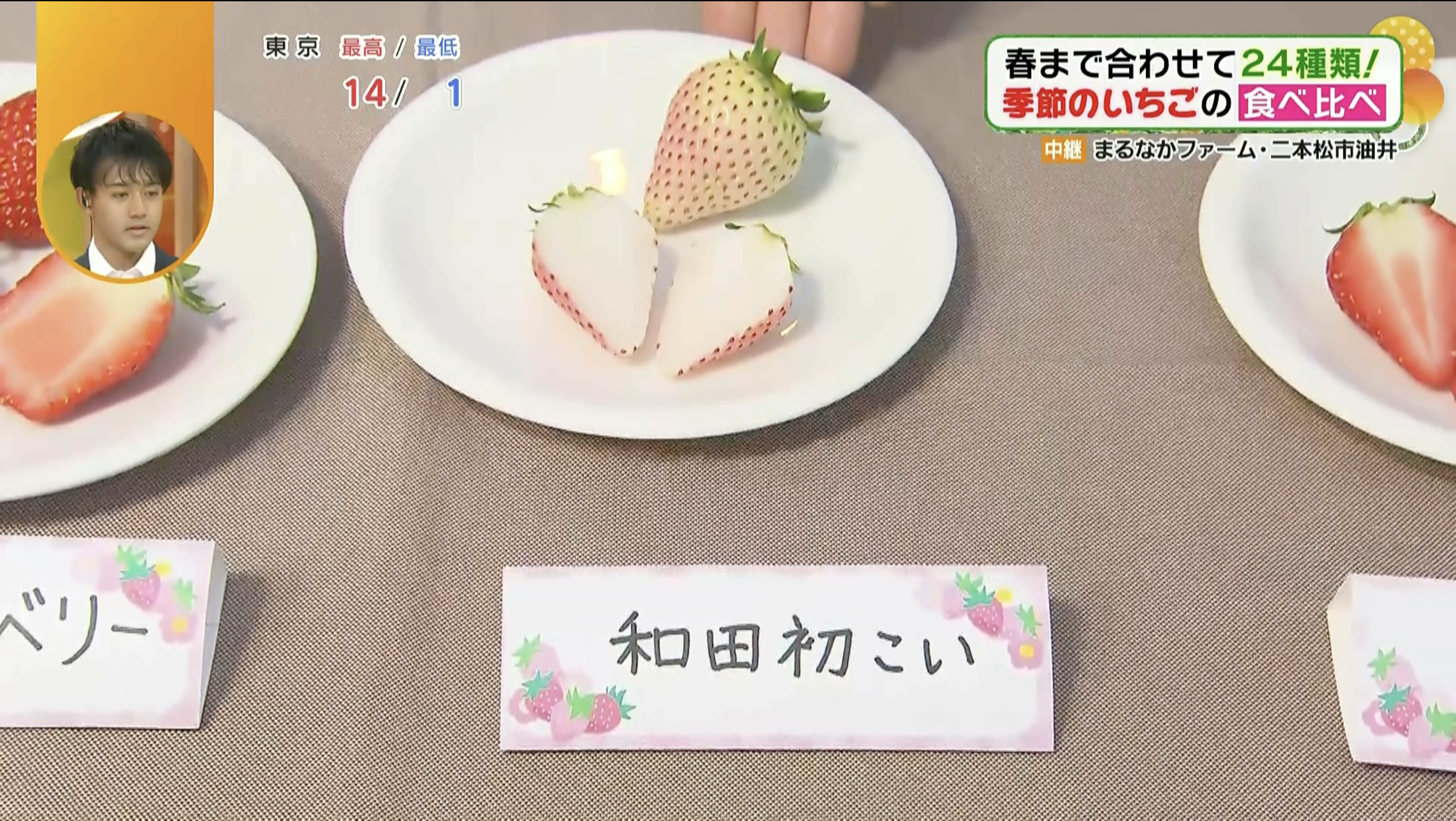 「和田初こい」は2025年から作られているそう！