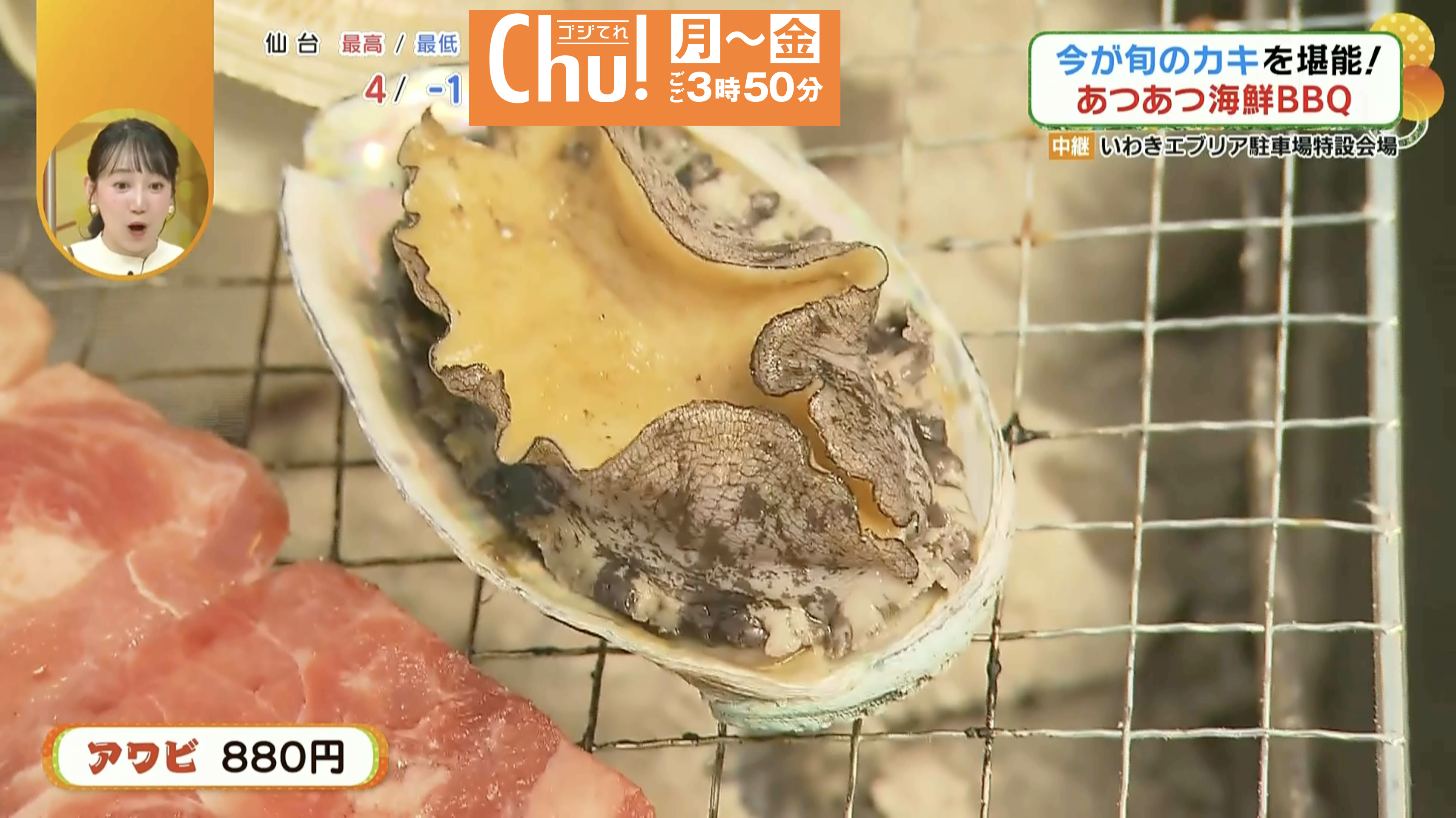 肉厚のアワビです！