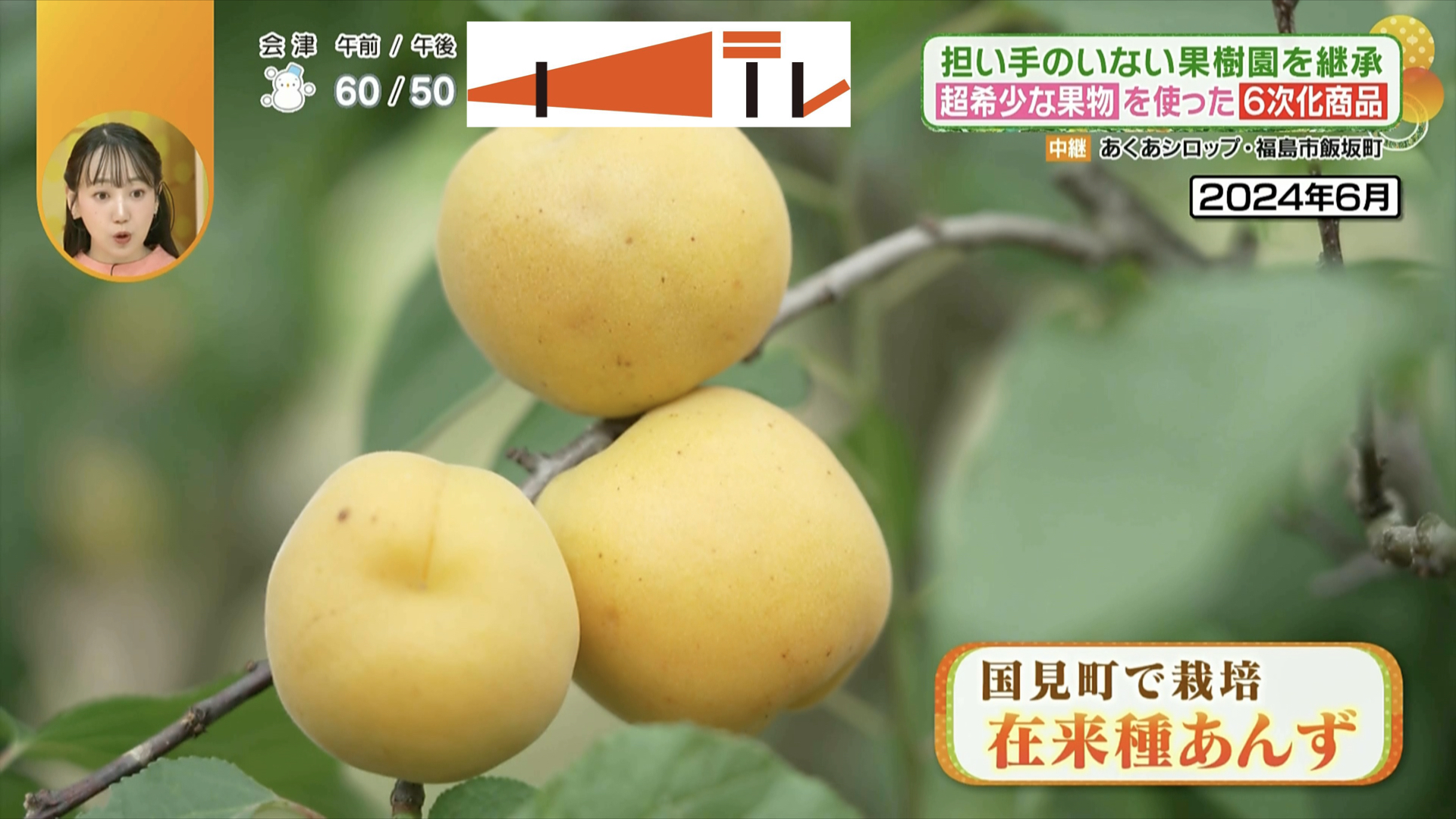 県北産の果物の中でも、超希少!