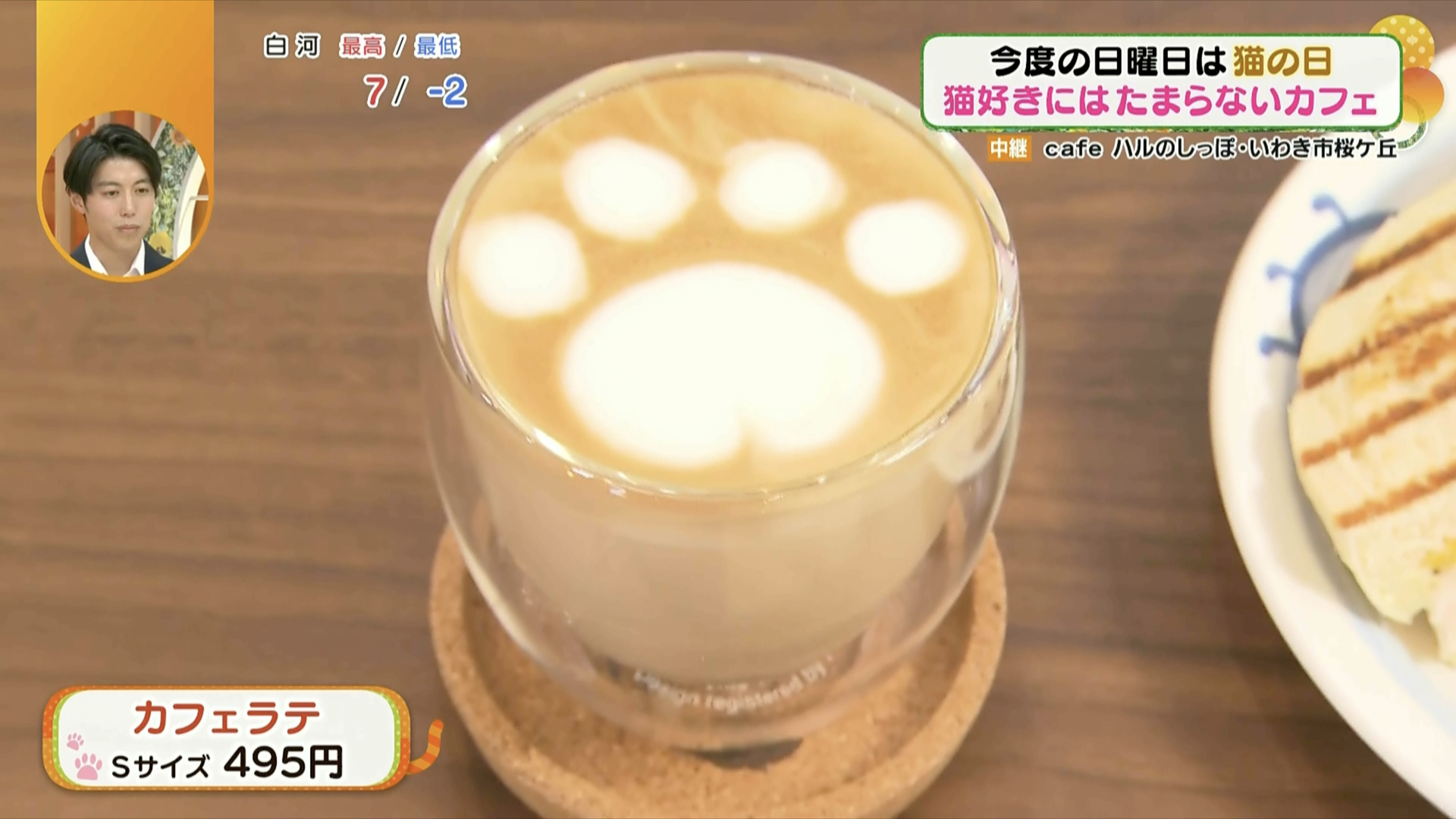 肉球好きにはたまらない…！