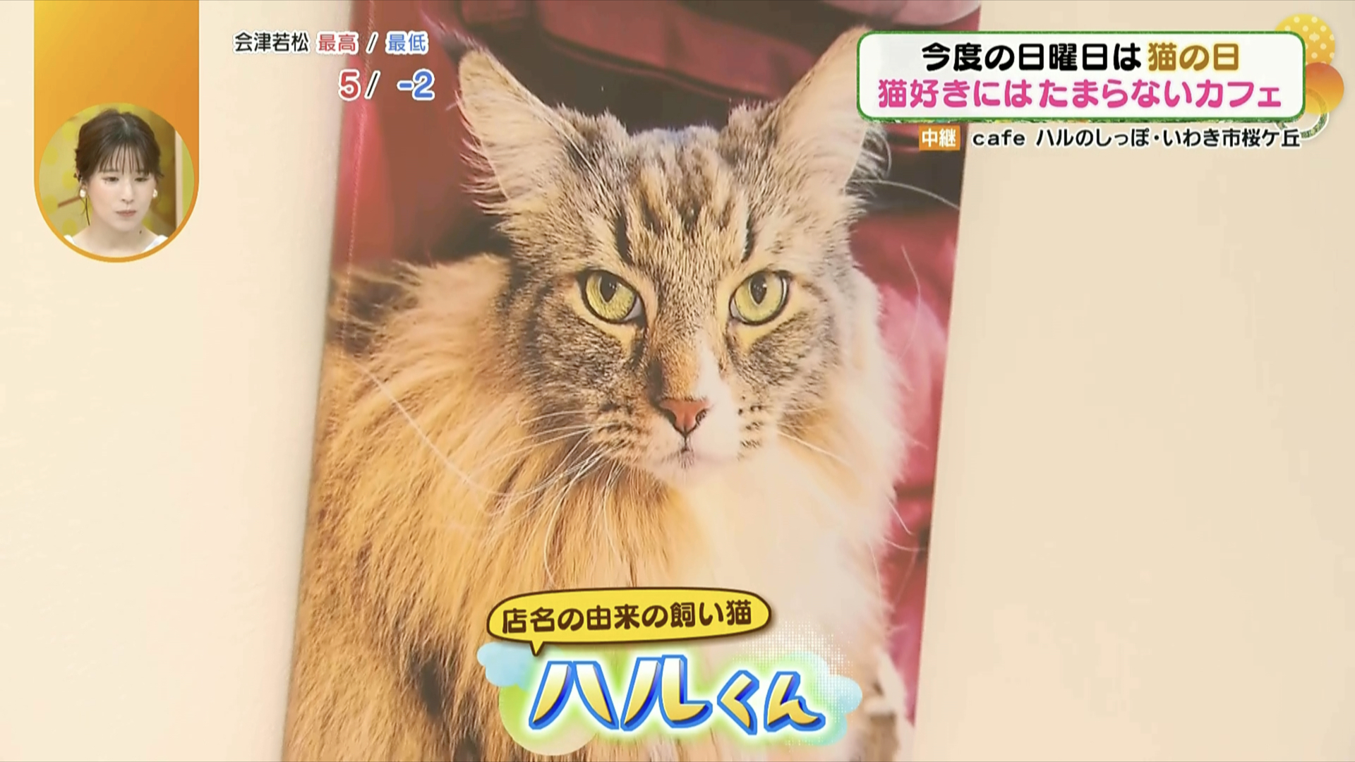 会えたらラッキー！