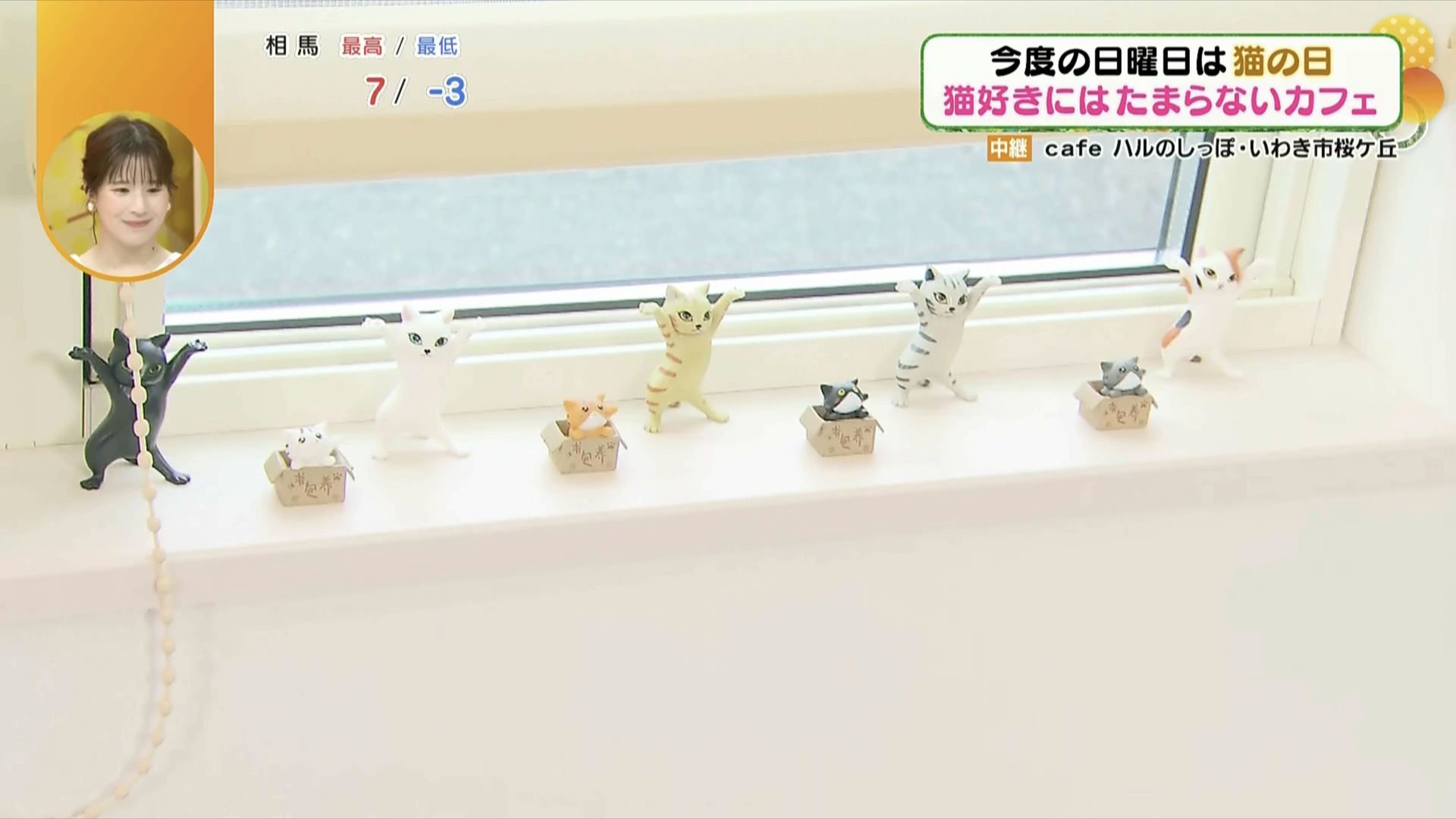 とっておきの猫の姿を見つけてみて！