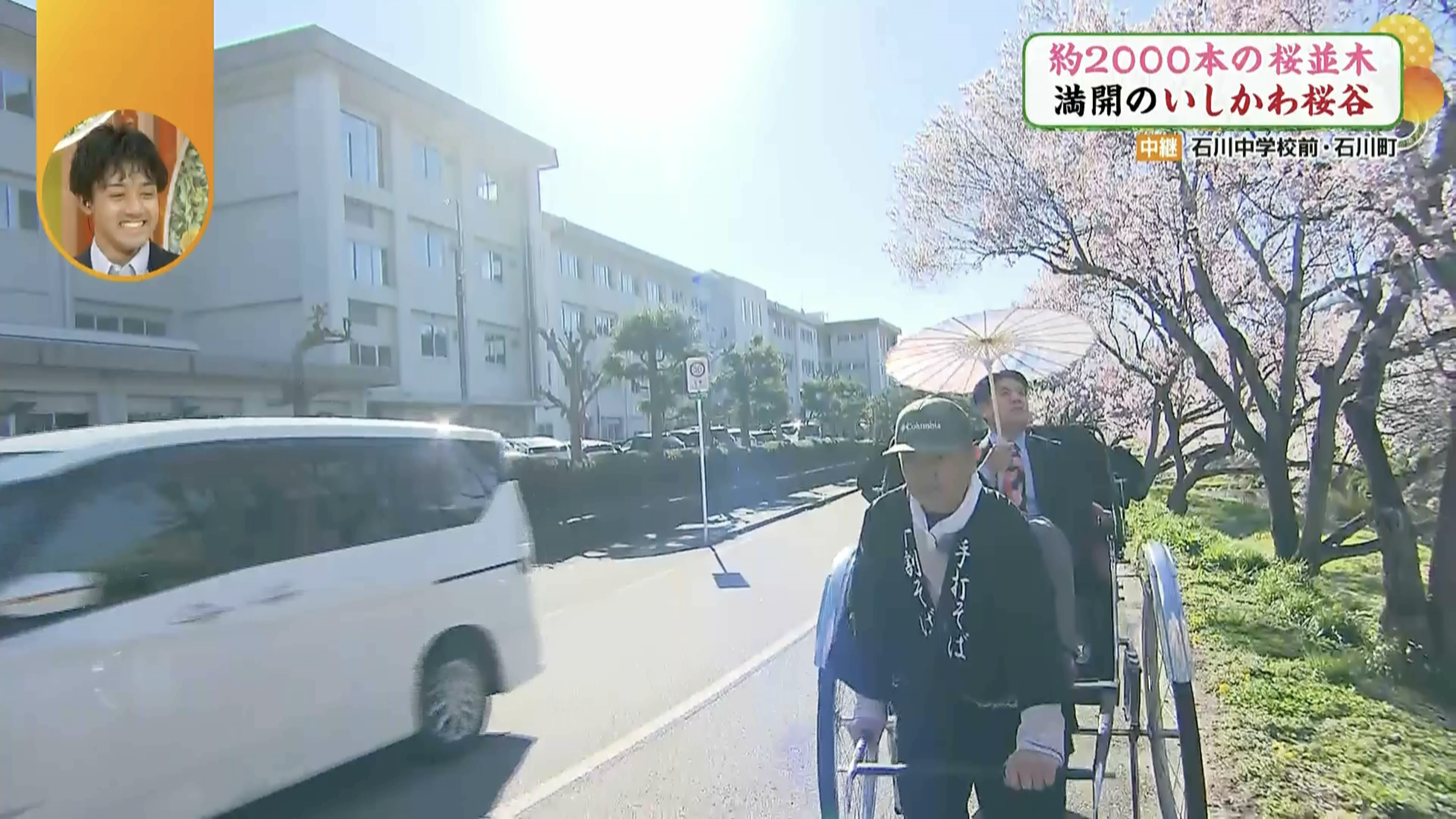 人力車から桜を眺めるなんて贅沢！