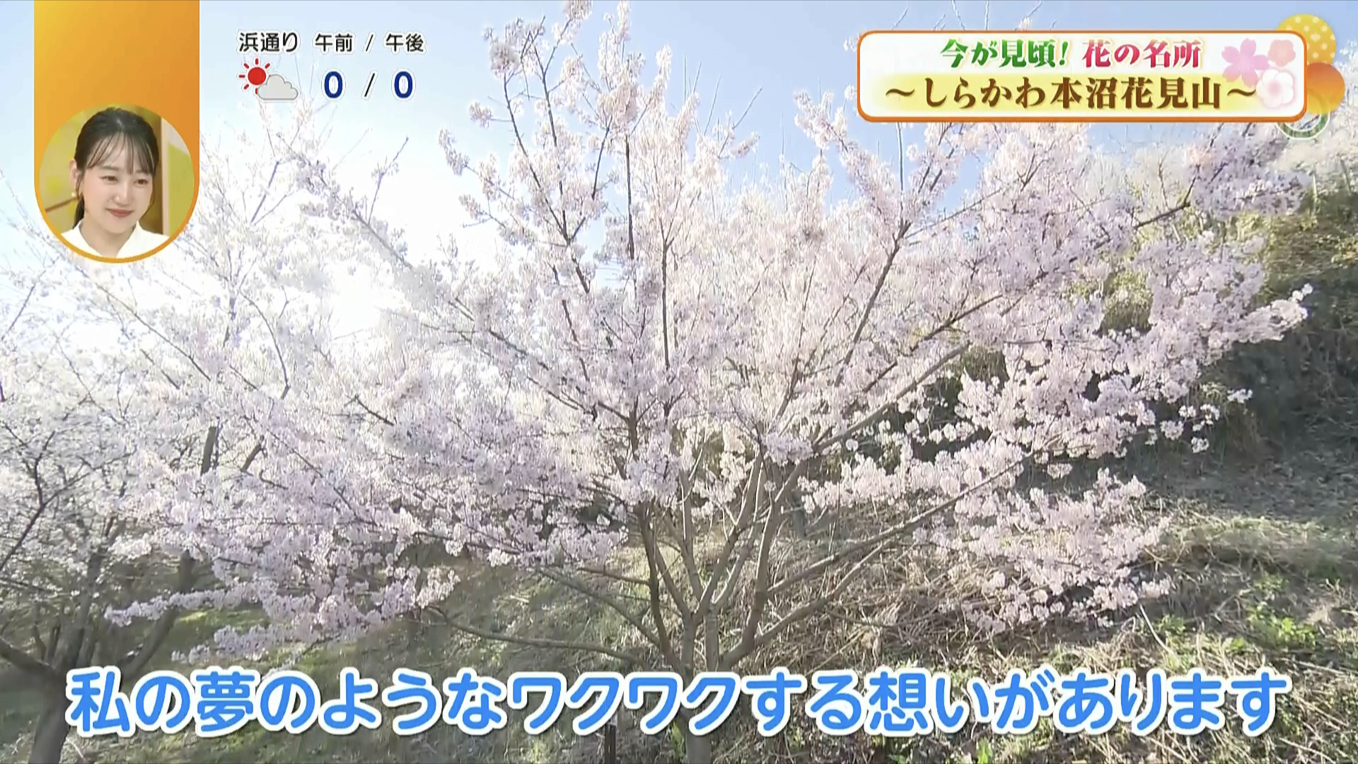 子どもから大人まで足を運ぶ桜の名所として再生