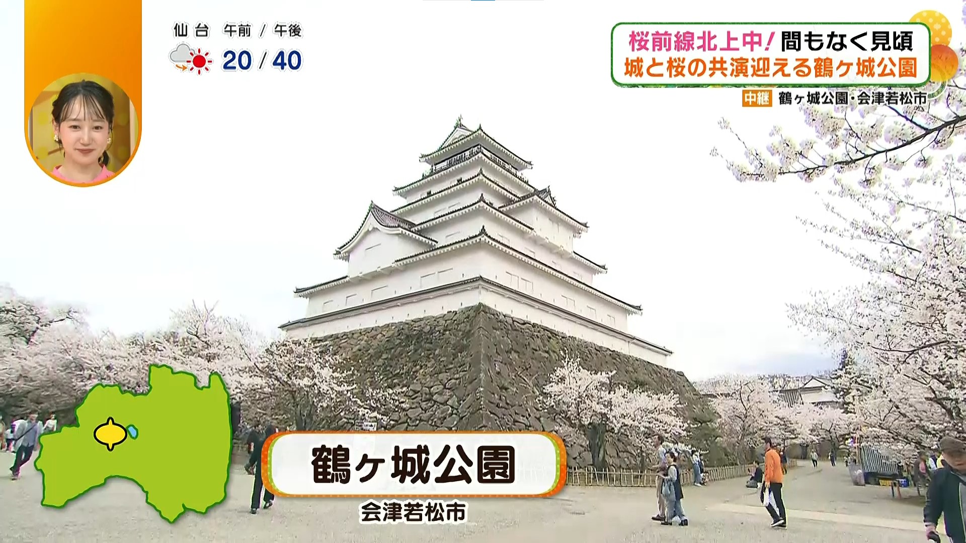 これぞ、日本の春！