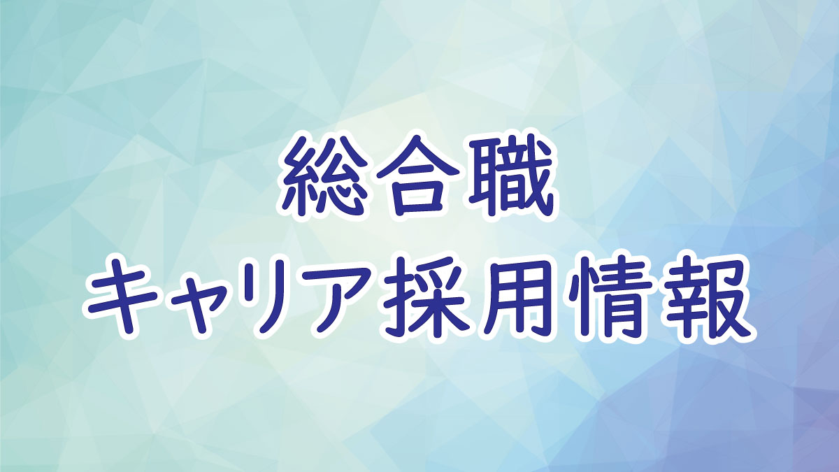 総合職 キャリア採用情報の画像
