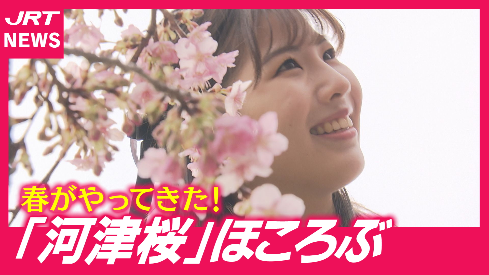 【早咲き】一足早い春の訪れ　勝浦町で「河津桜」ほころぶ