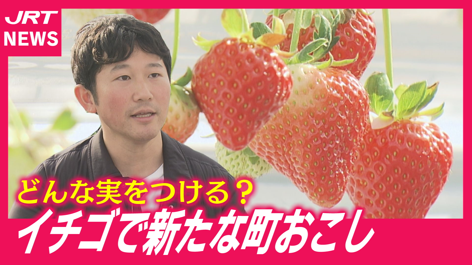 【挑戦】イチゴとつくる町の未来　東みよし町が新たな町おこし