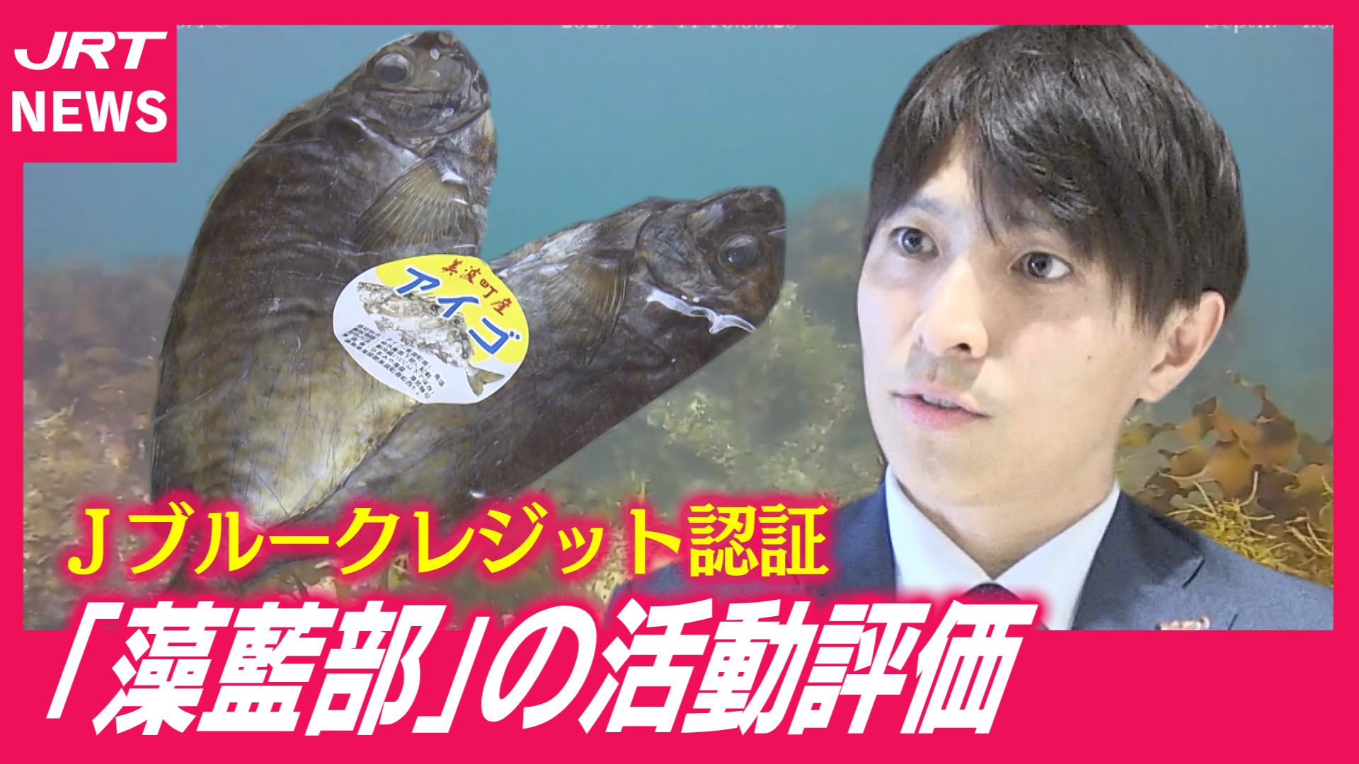 【県内初】藻場再生に取り組む「藻藍部」　Jブルークレジットに認証