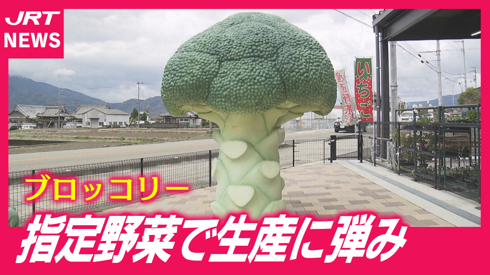 【52年ぶり】「指定野菜」に追加へ　ブロッコリーのおいしい話