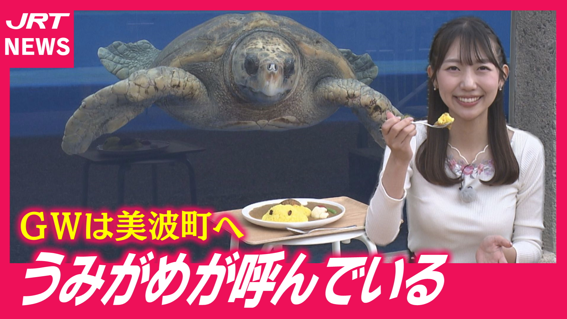【おすすめ】世界最高齢の「浜太郎」も！ＧＷは美波町のうみがめ博物館へ