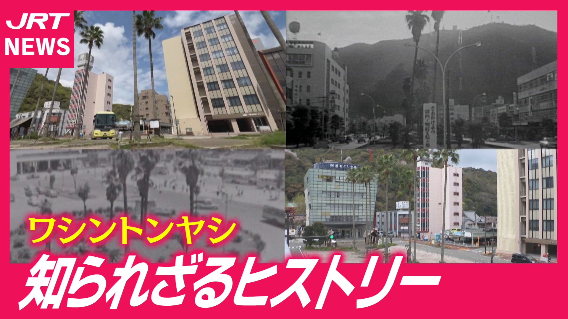 【変遷】徳島市のワシントンヤシ　なぜ駅前に？なぜ一部伐採？
