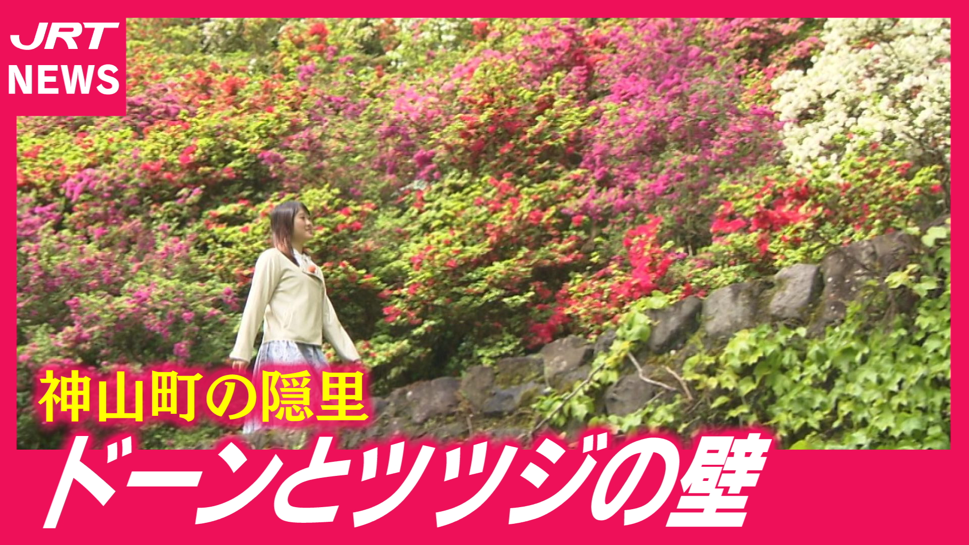 動画｜JRT四国放送