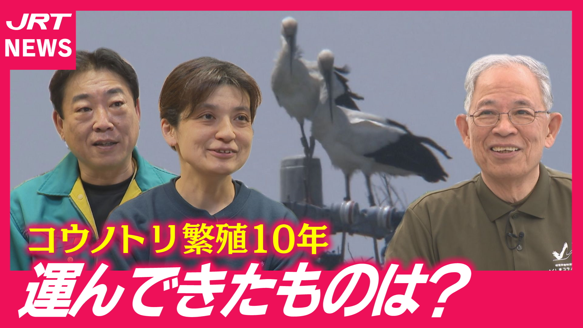【コウノトリ】鳴門で10年連続繁殖　運んできたものは？
