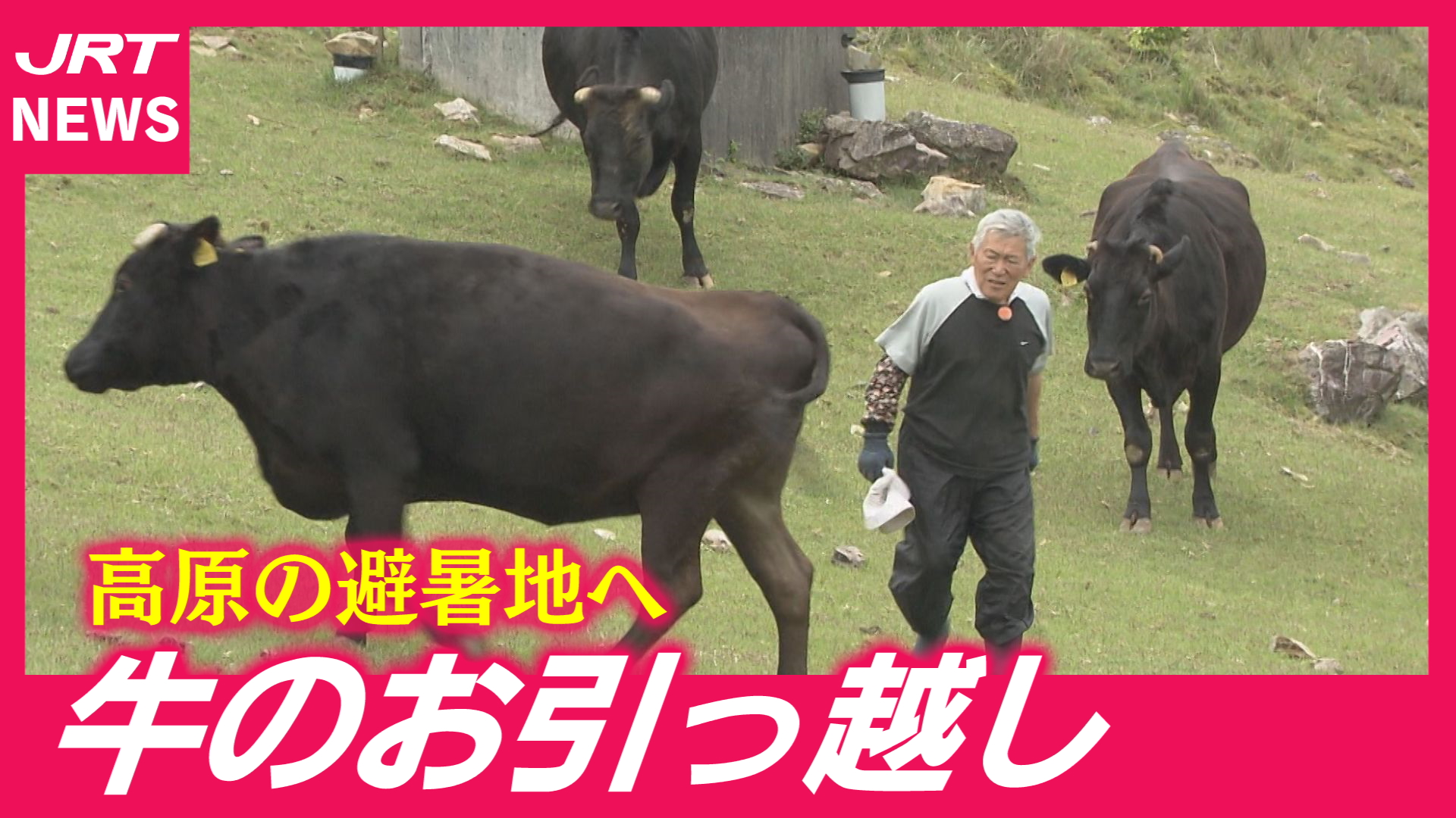 フォーカス徳島｜JRT四国放送