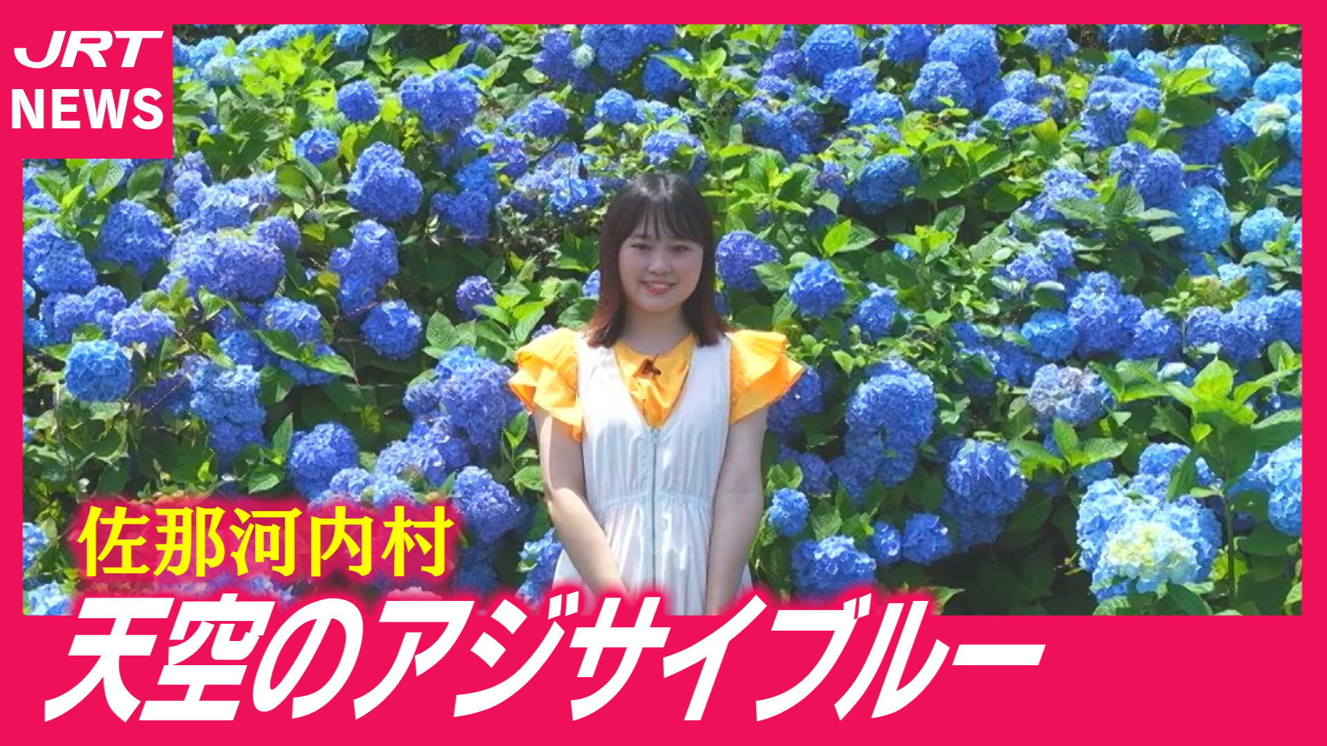 動画｜JRT四国放送