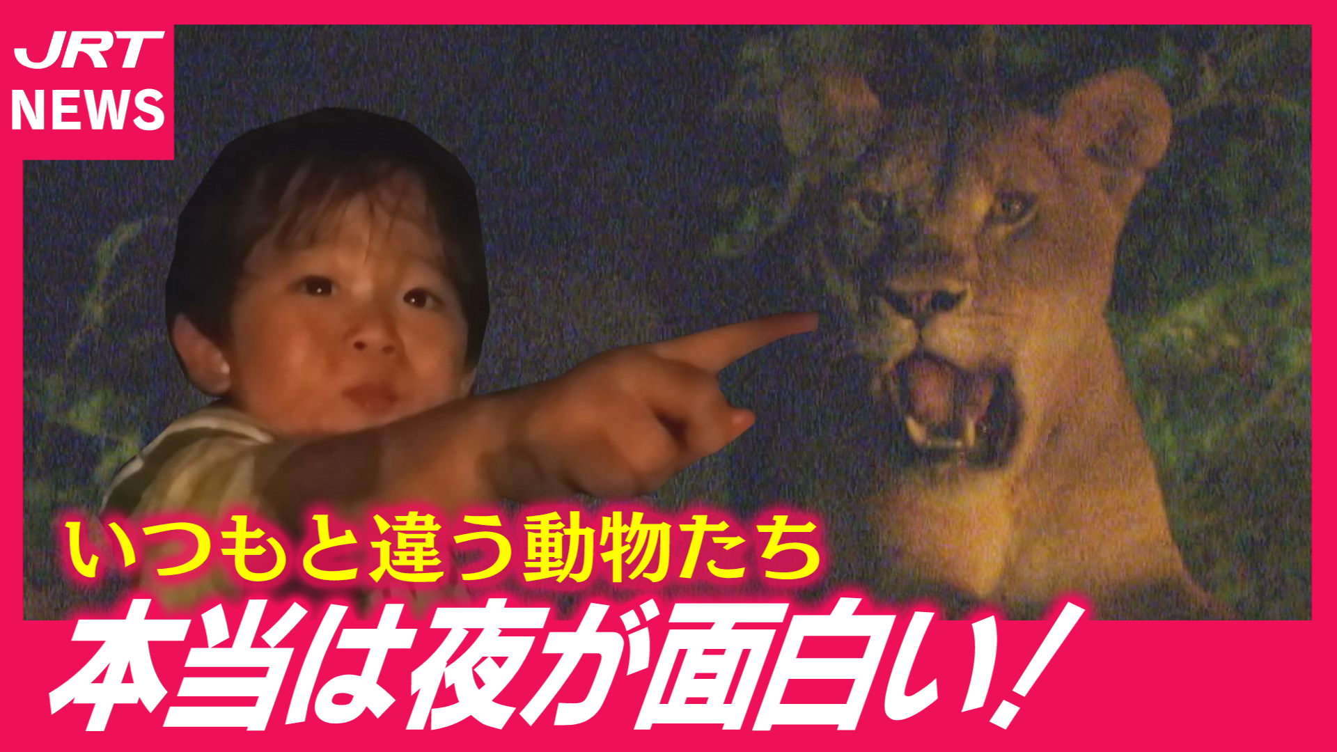 【夜の動物園】昼には見られない動物たちの生態を見に行こう！