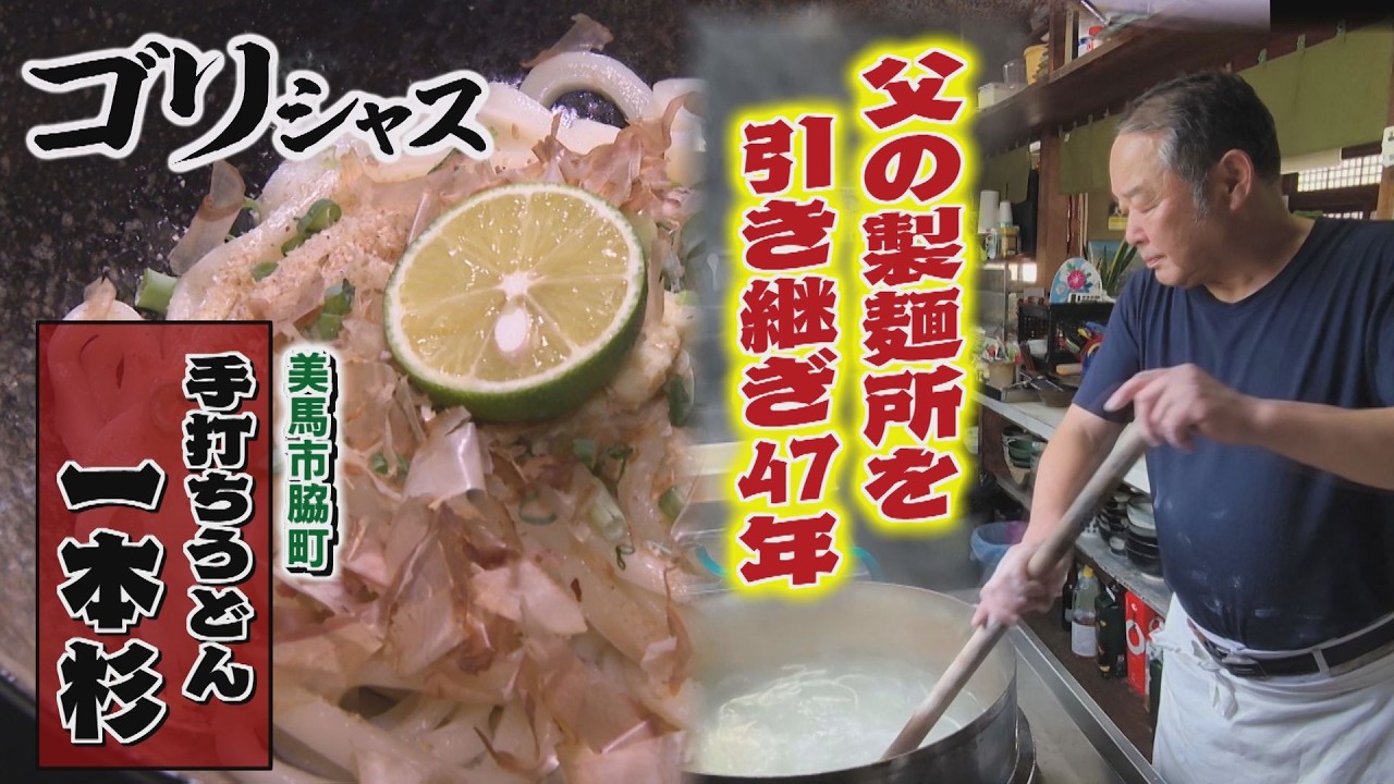 【ゴジカル！】ゴリシャス・手打ちうどん一本杉（美馬市脇町）