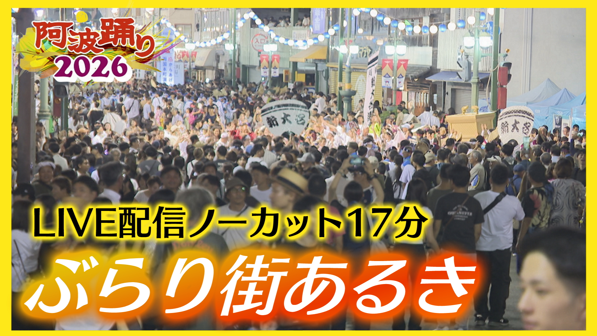 【阿波踊り】「歩く阿呆」気分で踊り天国に没入！