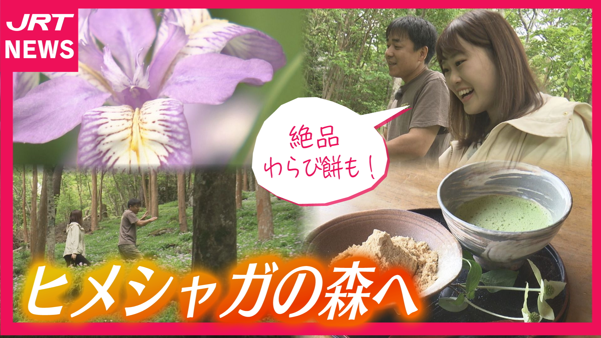 【ようこそ】「ヒメシャガ」の森へ 神山町・岳人の森