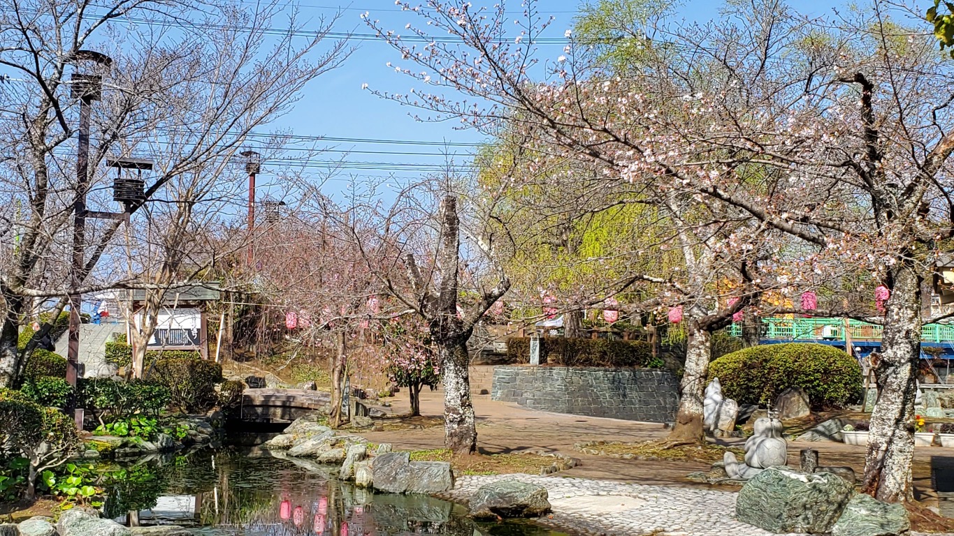 木戸さん撮影です📸