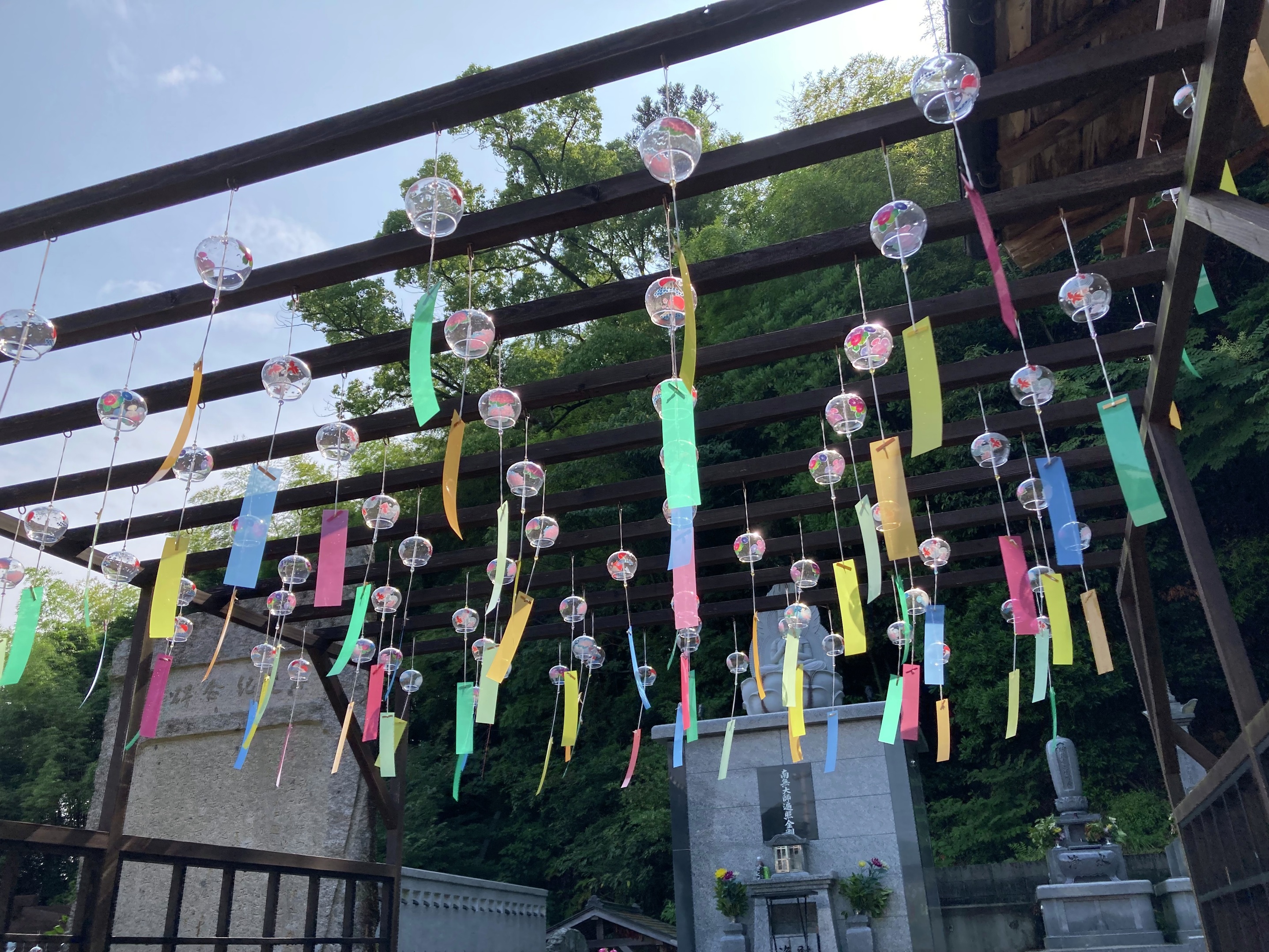 いろんな柄の風鈴🎐夏を感じますね～