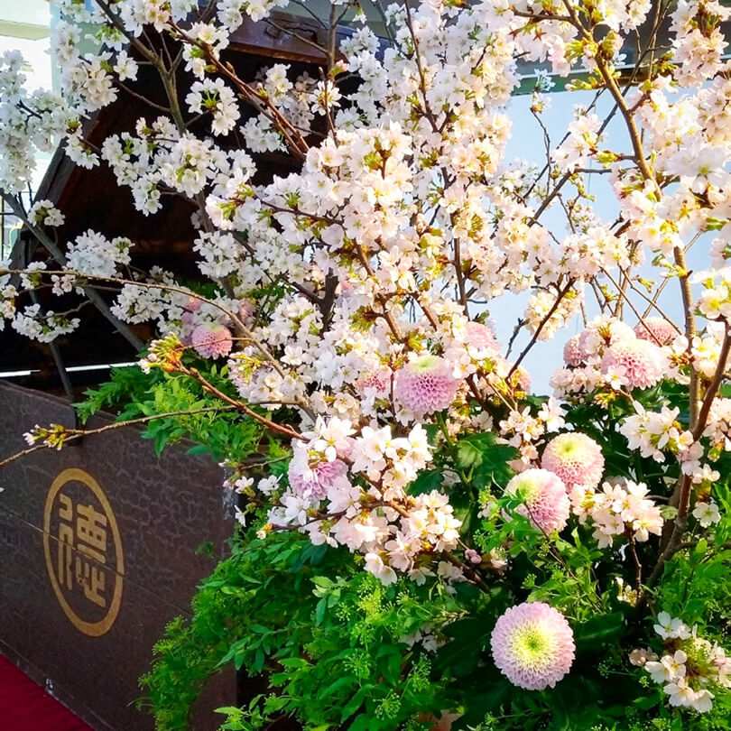 2025(令和7)年 桜花の会