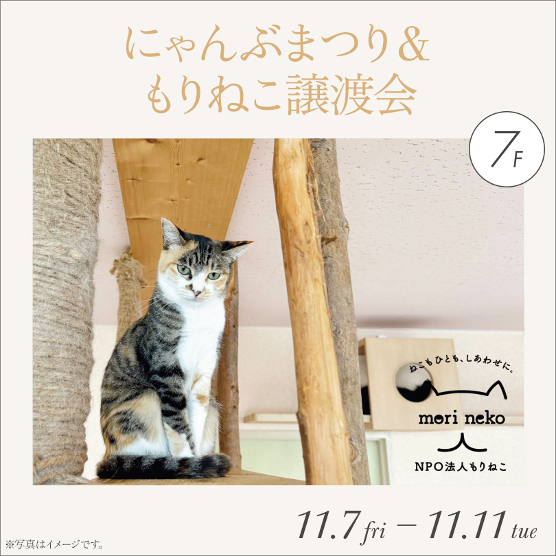 にゃんぶまつり& もりねこ譲渡会