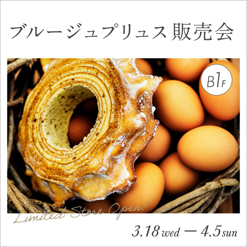 ブルージュプリュス販売会