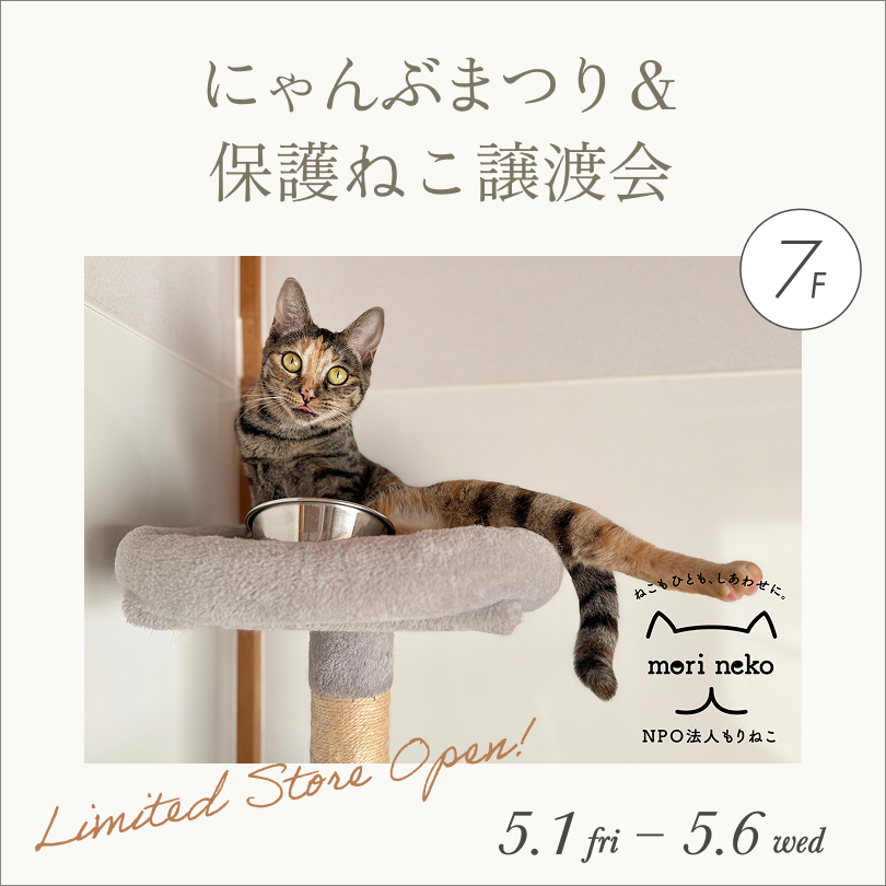 にゃんぶまつり＆保護ねこ譲渡会