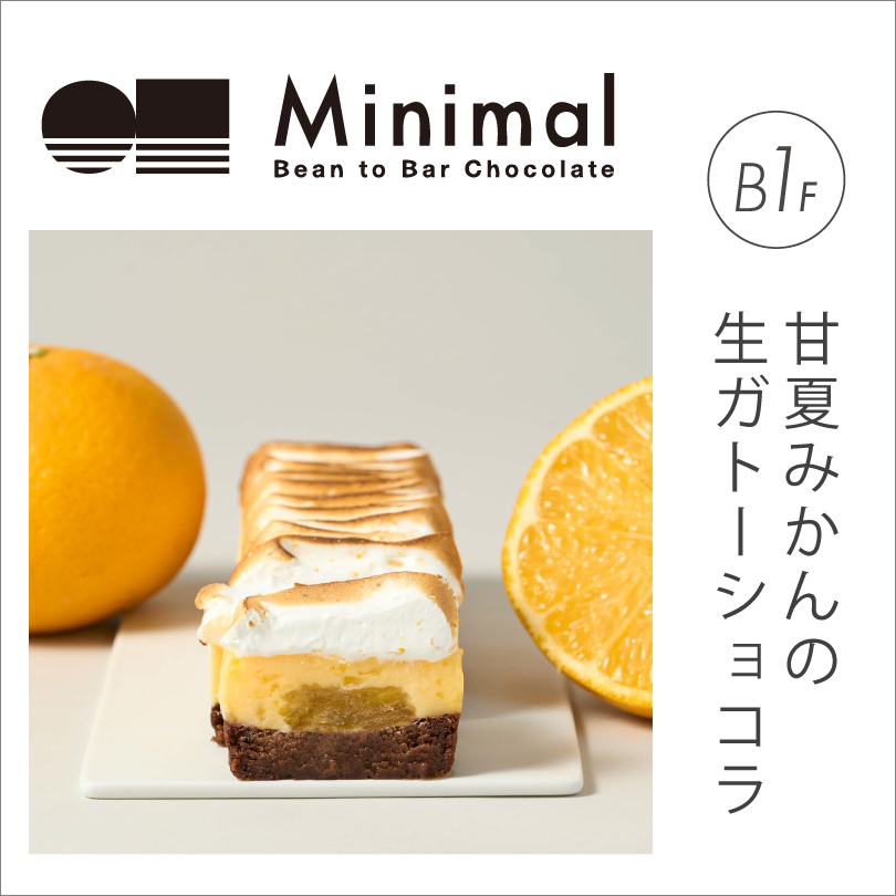 ＜Minimal＞甘夏みかんの生ガトーショコラ