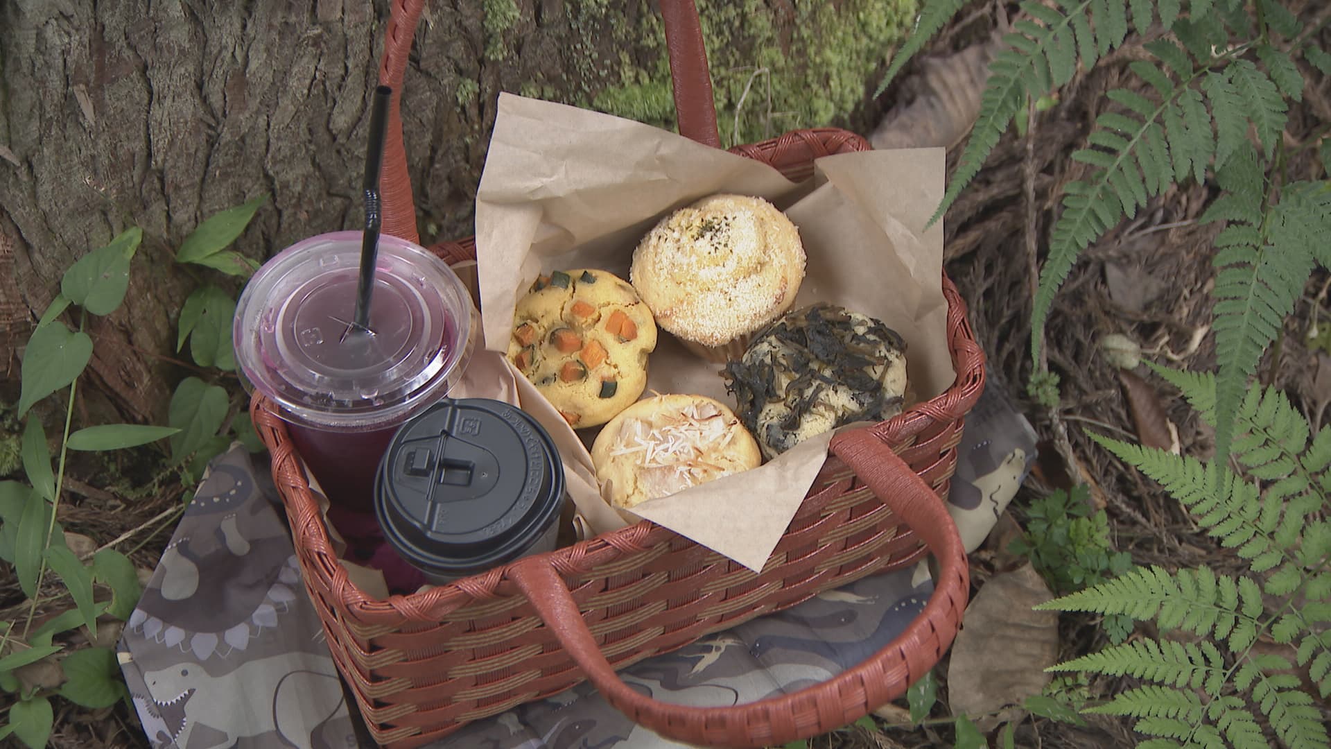 シリーズ・ふるさと原風景⑧ 「重伝建・赤瓦の里～加賀東谷]