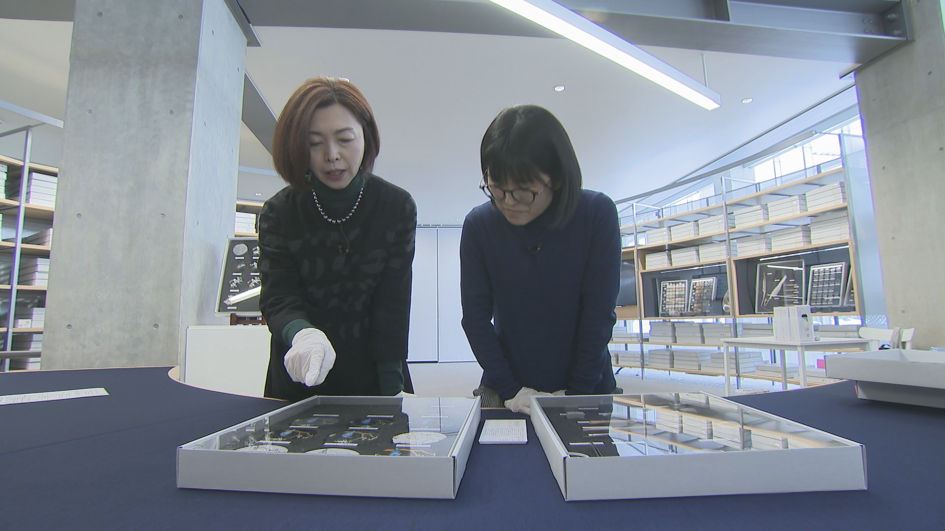 シリーズ・未来につなぐ石川の技④ 「美のアーカイブ~金沢美術工芸大学美術工芸研究所~」